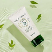 SKINFOOD Pantothenic Water Parsley Refresh Cleansing Foam